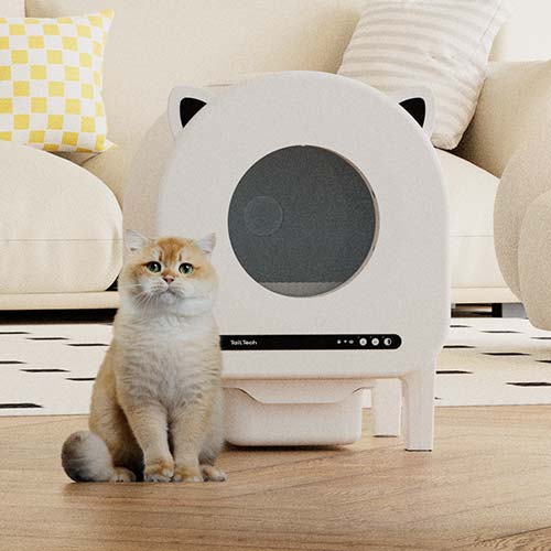 smart cat litter box